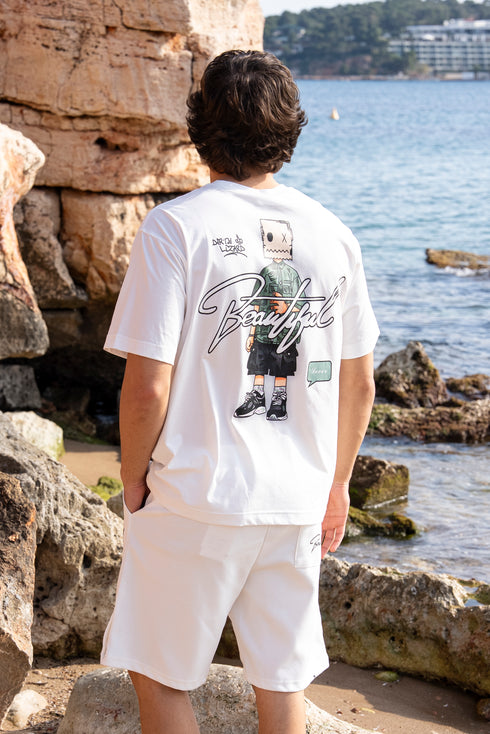 The "Beautiful" Illustrated Set