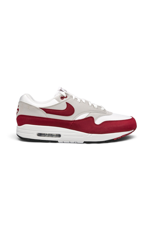 Nike Air Max 1 '87 x Stranger Things Steve Harrington