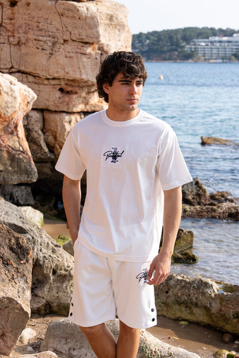 The "Beautiful" Illustrated Set